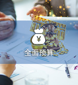 全面预算