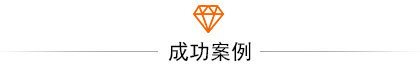 成功案例